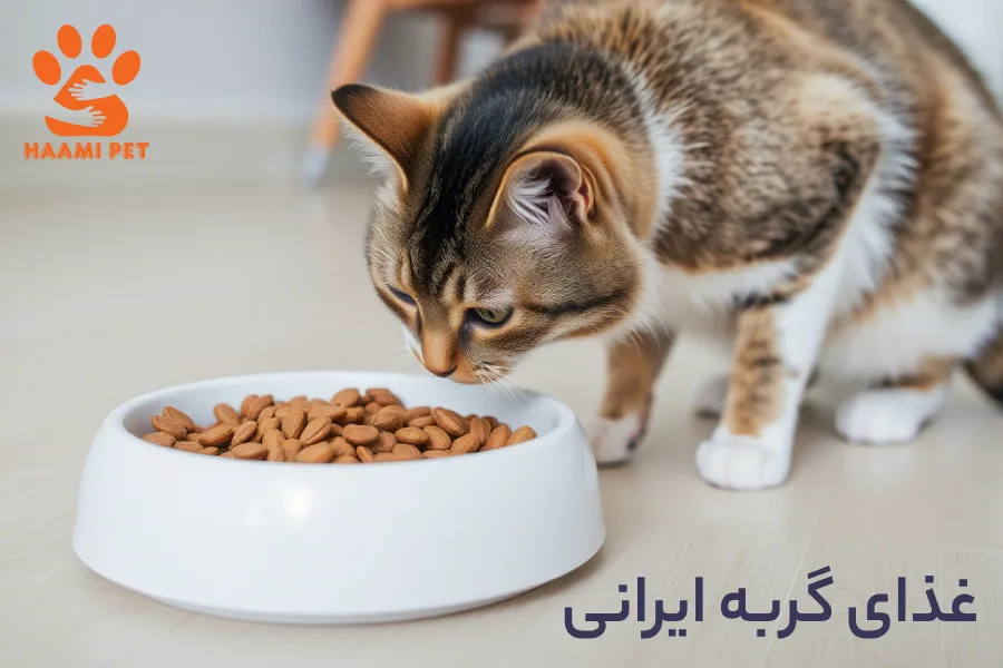 خرید غذای گربه ایرانی - پت شاپ گربه حامی پت