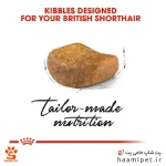 غذای خشک گربه بریتیش ادالت رویال کنین 2 کیلویی