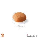 غذای خشک توله سگ گلدن رتریور رویال کنین 12 کیلو