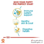 غذای خشک توله سگ گلدن رتریور رویال کنین