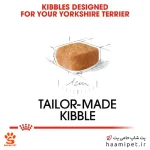 غذای خشک توله سگ یورک شایر تریر رویال کنین