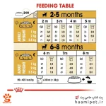 راهنمای مصرف غذای خشک توله سگ شیواوا رویال کنین - پت شاپ سگ حامی پت