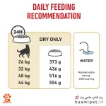 راهنمای مصرف غذای خشک سگ بالغ ژرمن شپرد رویال کنین