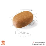 غذای خشک سگ بالغ مالتیز رویال کنین