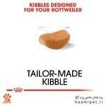 غذای خشک سگ بالغ روتوایلر رویال کنین