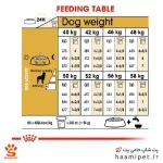 راهنمای مصرف غذای خشک سگ بالغ روتوایلر رویال کنین - پت شاپ سگ حامی پت