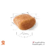 غذای خشک سگ بالغ پودل رویال کنین 3 کیلویی - Image 3