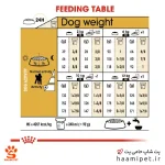 راهنمای مصرف غذای خشک سگ بالغ پودل رویال کنین - پت شاپ سگ حامی پت