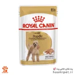 پوچ سگ بالغ پودل رویال کنین