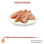 سوپ سگ بالغ پودل رویال کنین 85 گرمی