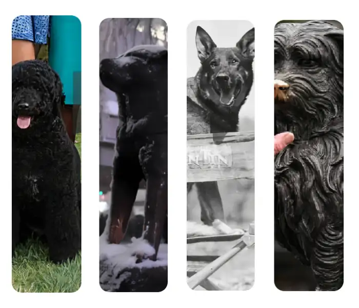 اسم سگ های معروف تاریخ