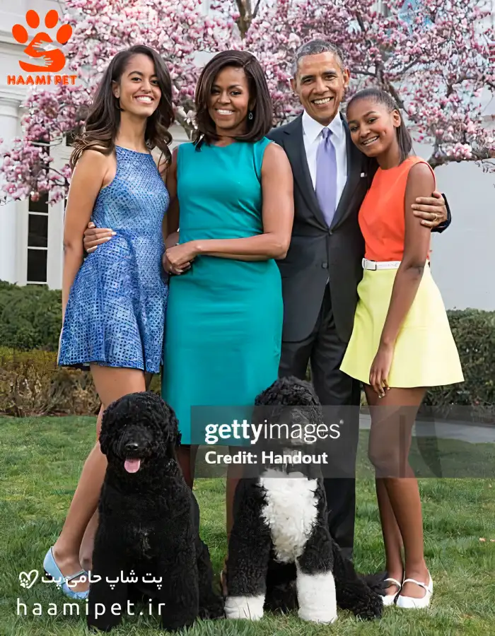 سانی و بو اوباما نماد حیوان دوستی در فضای رسمی