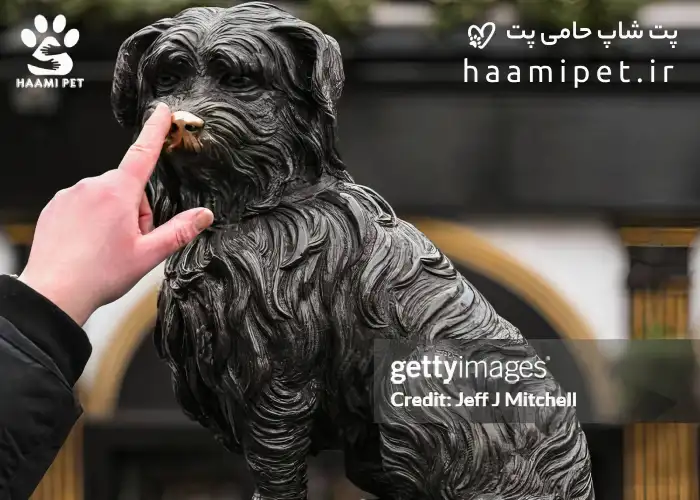 گری فرایزر بابی نماد وفاداری به انسان