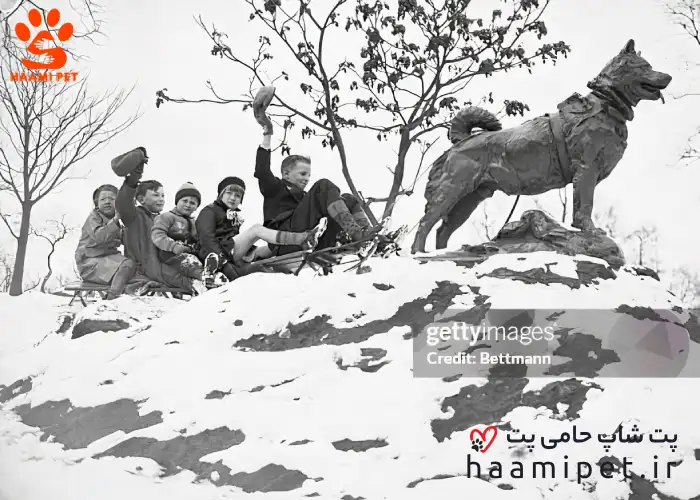 بالتو نماد شجاعت