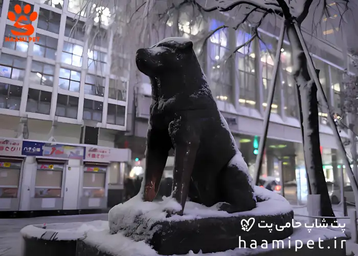 هاچیکو نماد وفاداری