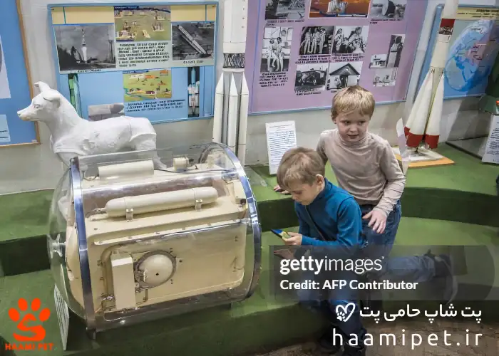 لایکا نماد فداکاری در راه علم