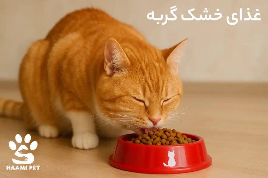 غذای خشک گربه - پت شاپ حامی پت