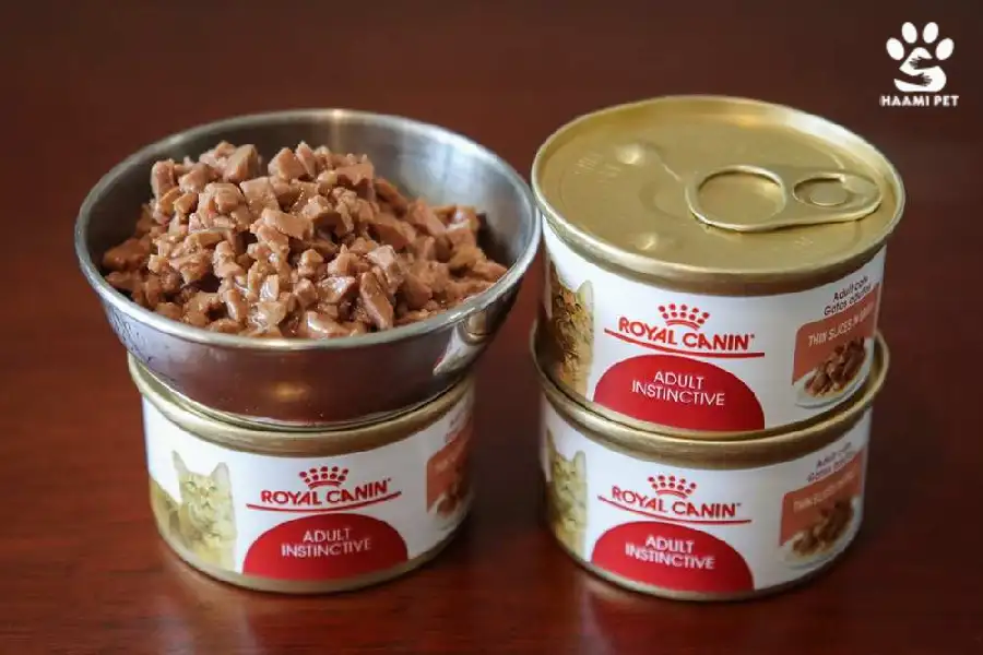 کنسرو گربه رویال کنین - پت شاپ حامی پت