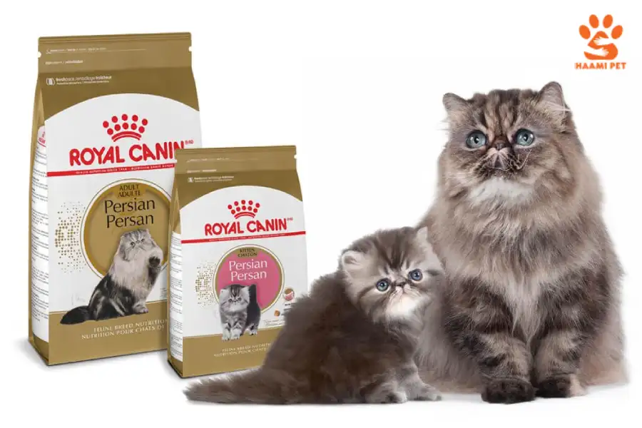 غذای گربه رویال کنین مخصوص نژادهای خاص - پت شاپ حامی پت