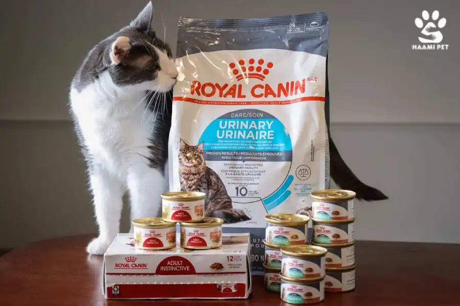 خرید غذای گربه رویال کنین - پت شاپ حامی پت