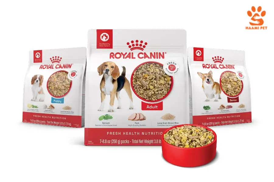 غذای خشک سگ رویال کنین - پت شاپ حامی پت