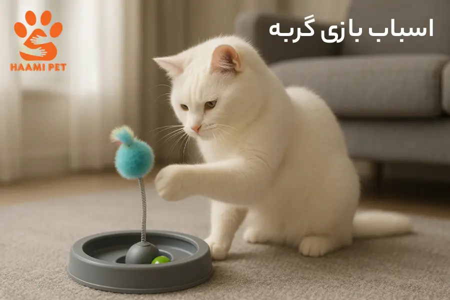 خرید اسباب بازی گربه از پت شاپ گربه حامی پت