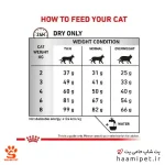 طریقه مصرف غذای خشک گربه هپاتیک رویال کنین - پت شاپ گربه حامی پت