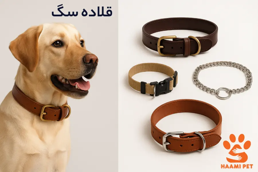 خرید قلاده سگ از پت شاپ سگ حامی پت