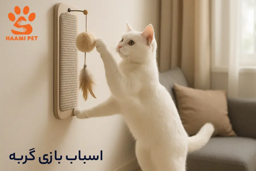 بهترین اسباب بازی گربه در پت شاپ گربه حامی پت