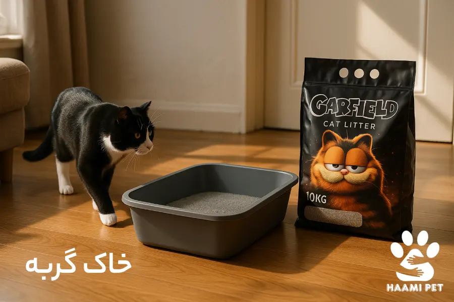 نکات مهم در انتخاب خاک گربه - پت شاپ گربه حامی پت