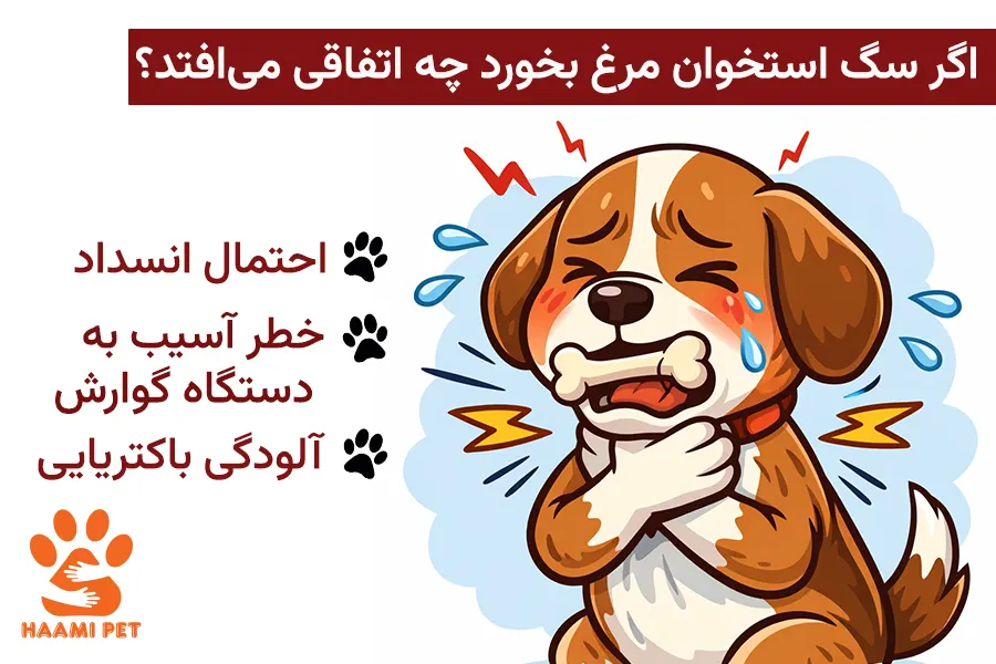 اگر سگ استخوان مرغ بخورد چه اتفاقی می‌افتد؟ پت شاپ حامی پت