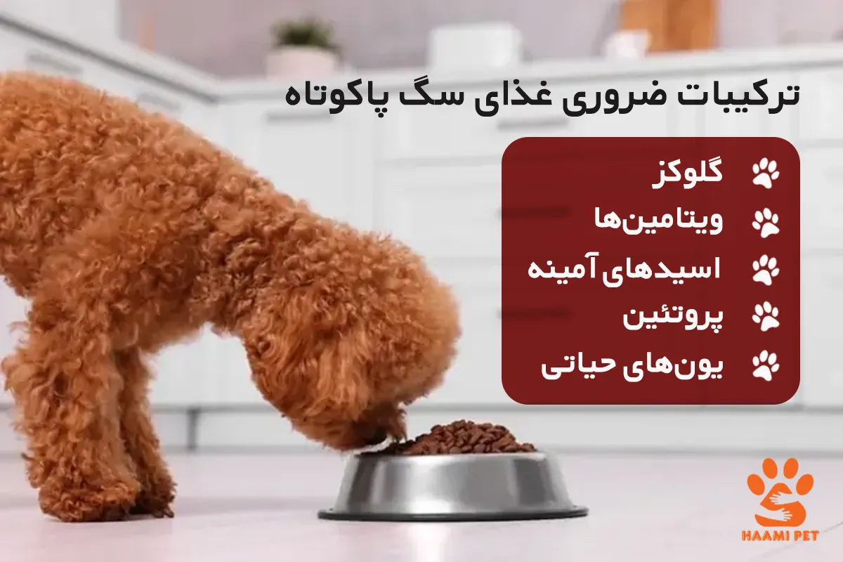 ترکیبات ضروری غذای سگ پاکوتاه پشمالو - حامی پت