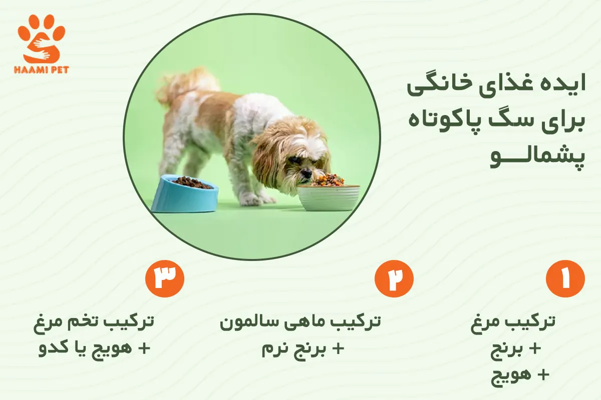 ایده‌ غذای خانگی برای سگ پاکوتاه پشمالو - حامی پت