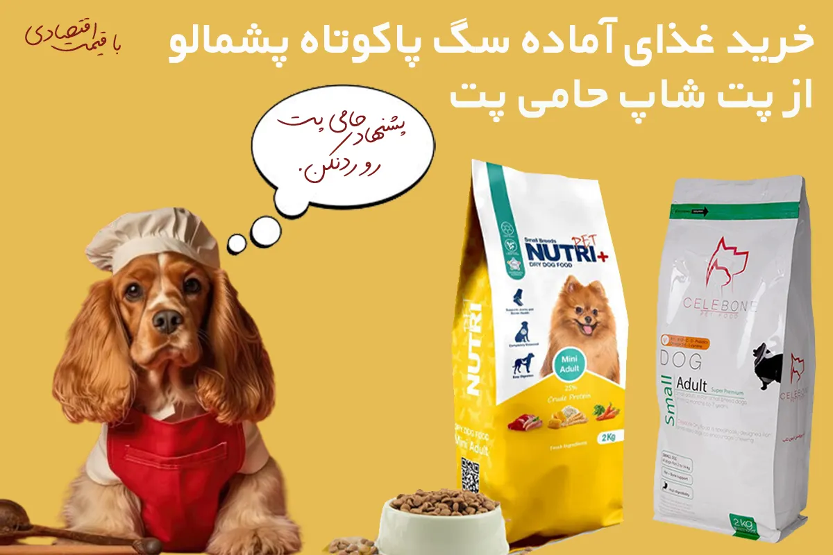 غذای آماده سگ پاکوتاه پشمالو - حامی پت