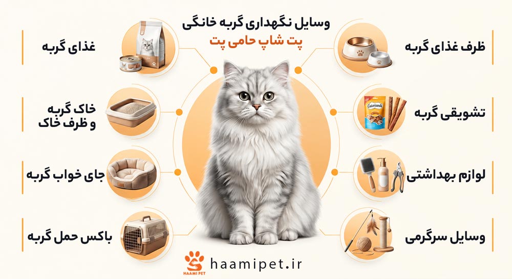 لیست وسایل نگهداری گربه خانگی (وسایل ضروری) - پت شاپ گربه حامی پت