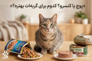 غذای پوچ گربه چیست؟ | پوچ با کنسرو گربه چه تفاوتی دارد؟ - پت شاپ حامی پت