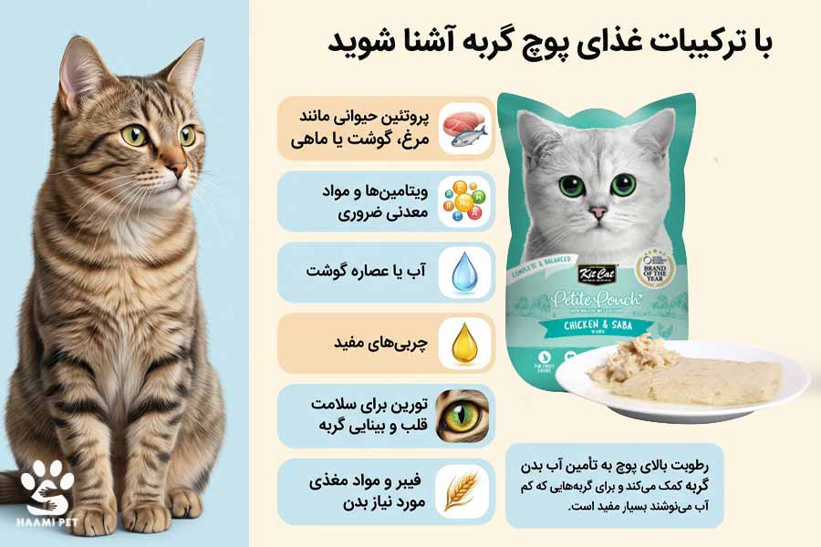با ترکیبات غذای پوچ گربه آشنا شوید - پت شاپ حامی پت
