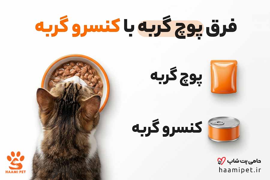 فرق پوچ گربه با کنسرو گربه چیست؟ - پت شاپ حامی پت
