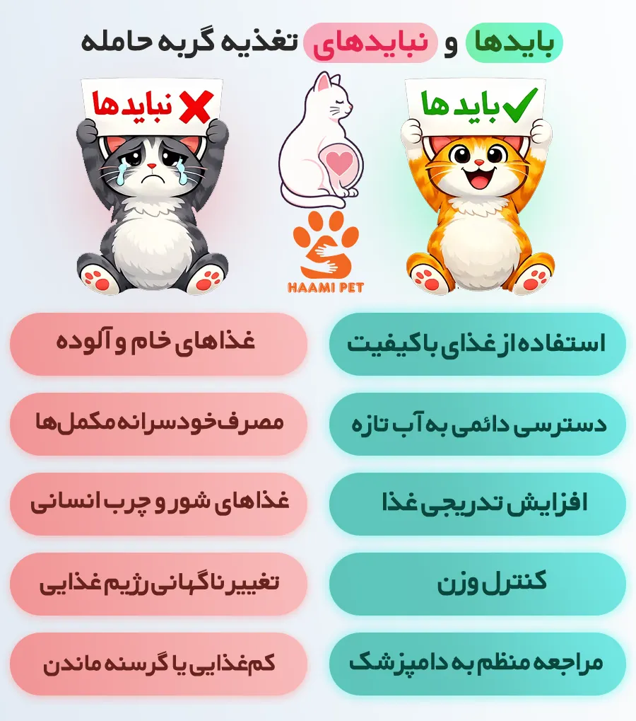باید ها و نباید های غذای گربه حامله - فروشگاه حامی پت