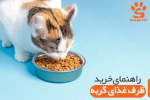راهنمای خرید ظرف غذای گربه - پت شاپ حامی پت