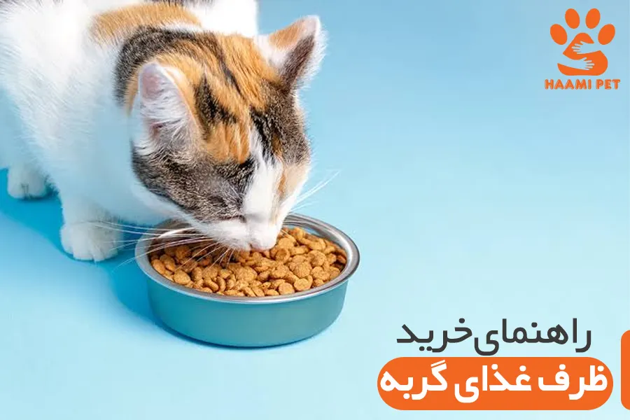 راهنمای خرید ظرف غذای گربه - پت شاپ حامی پت