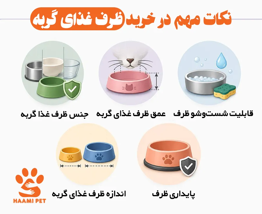 نکات مهم در خرید ظرف غذای گربه - پت شاپ حامی پت