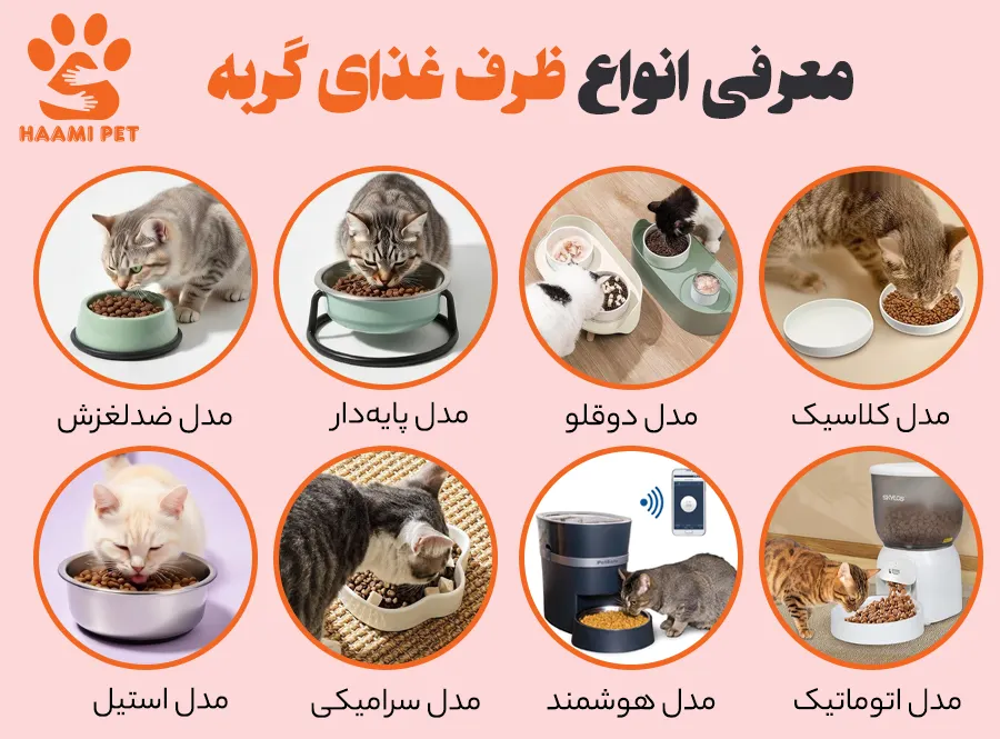 معرفی انواع ظرف غذای گربه - پت شاپ حامی پت