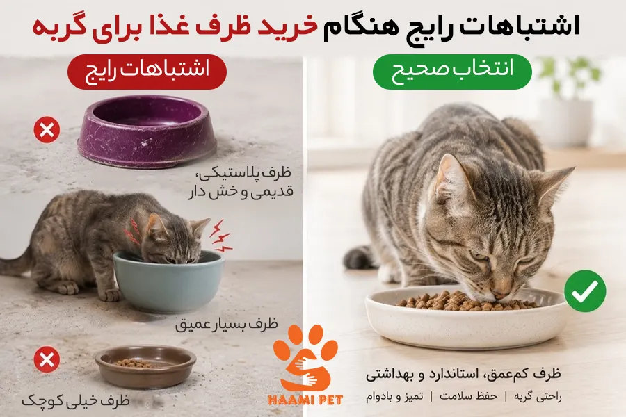 اشتباهات رایج هنگام خرید ظرف غذا برای گربه - پت شاپ حامی پت