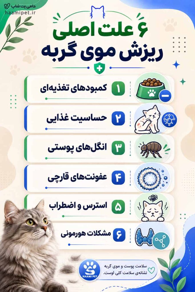 علت‌های اصلی ریزش موی گربه - پت شاپ حامی پت
