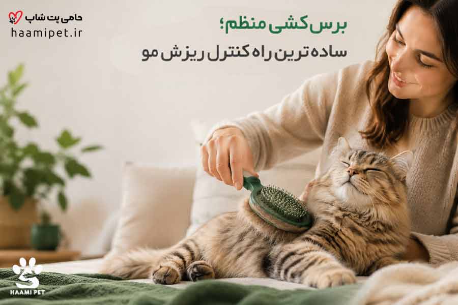 درمان ریزش موی گربه با رعایت چند نکته ساده - پت شاپ حامی پت