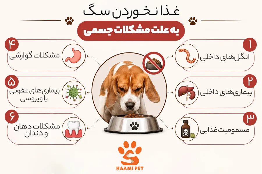 غذا نخوردن سگ به علت مشکلات جسمی - پت شاپ حامی پت
