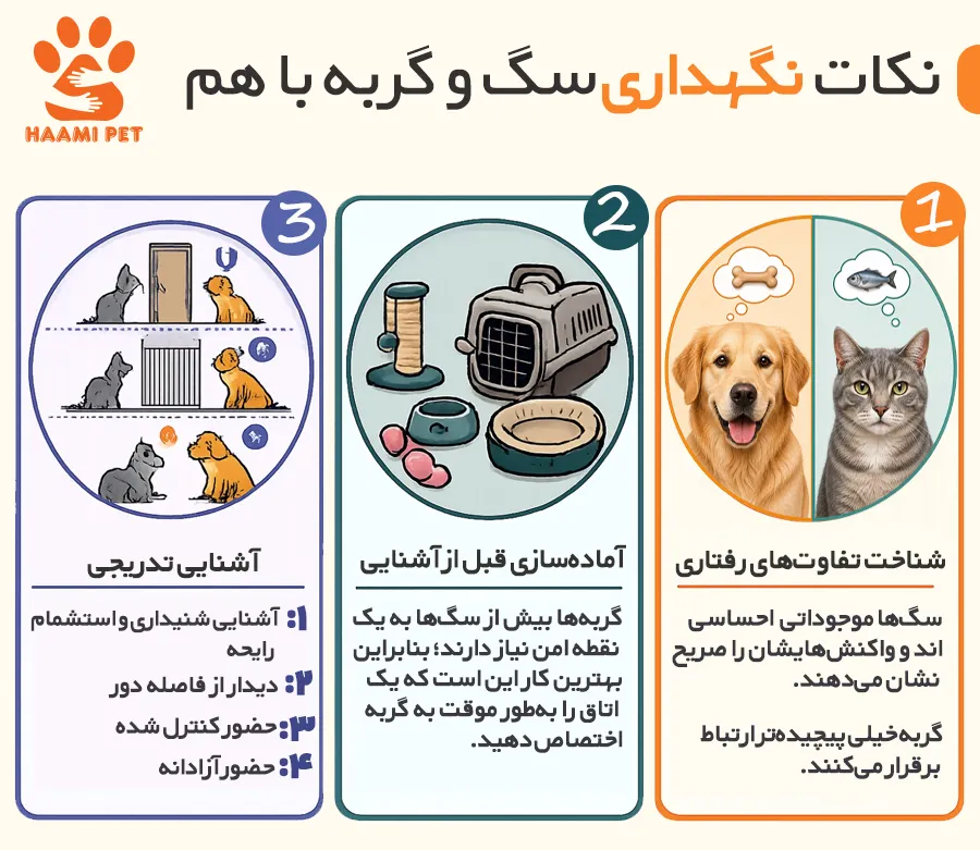 نکات نگهداری سگ و گربه با هم - پت شاپ حامی پت