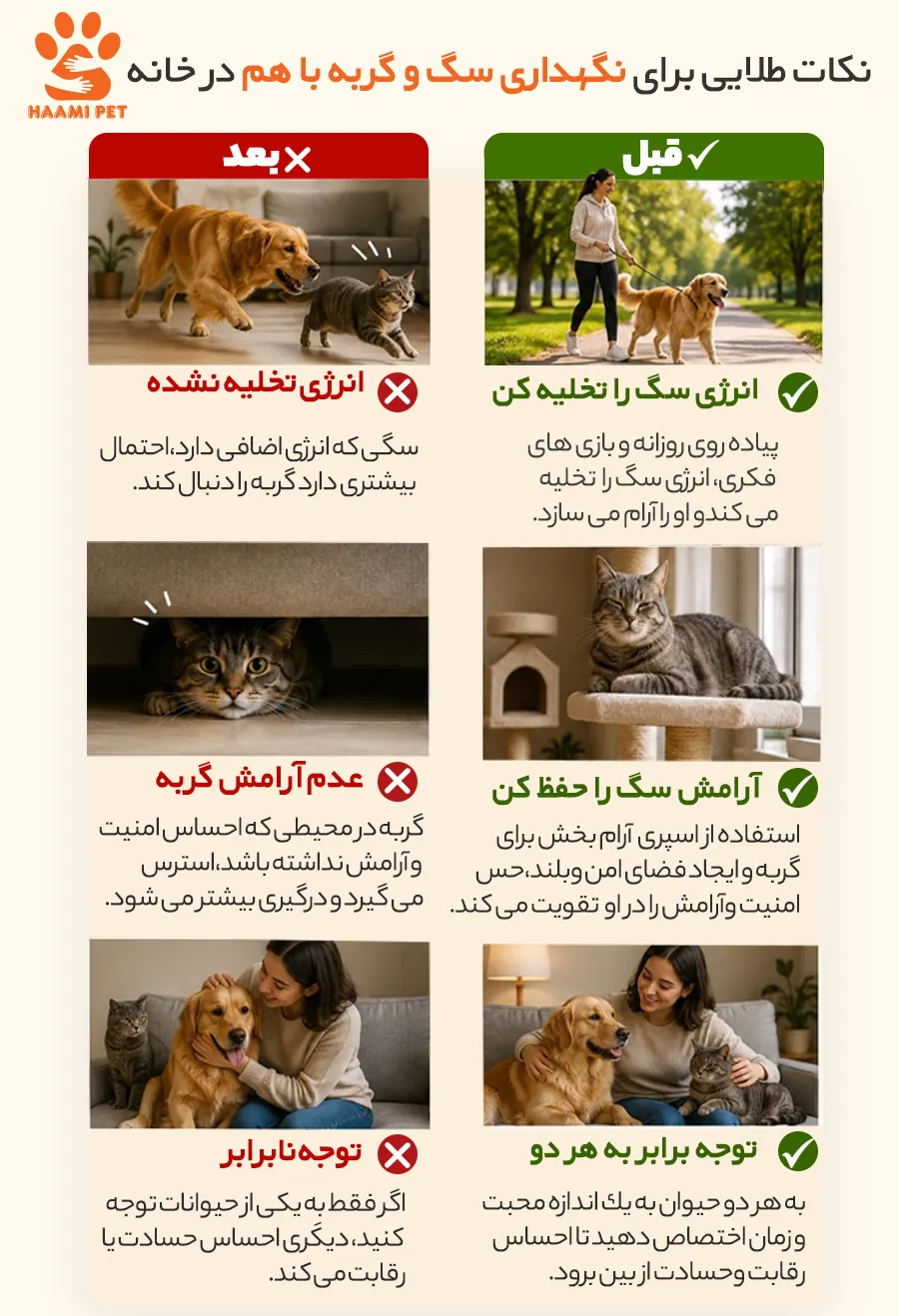 نکات طلایی برای نگهداری سگ و گربه در خانه - پت شاپ حامی پت