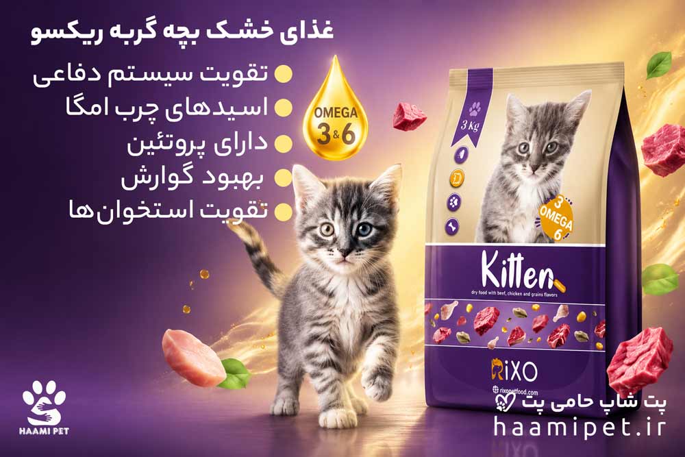 غذای خشک بچه گربه ریکسو با طعم گوشت، مرغ و غلات - پت شاپ حامی پت